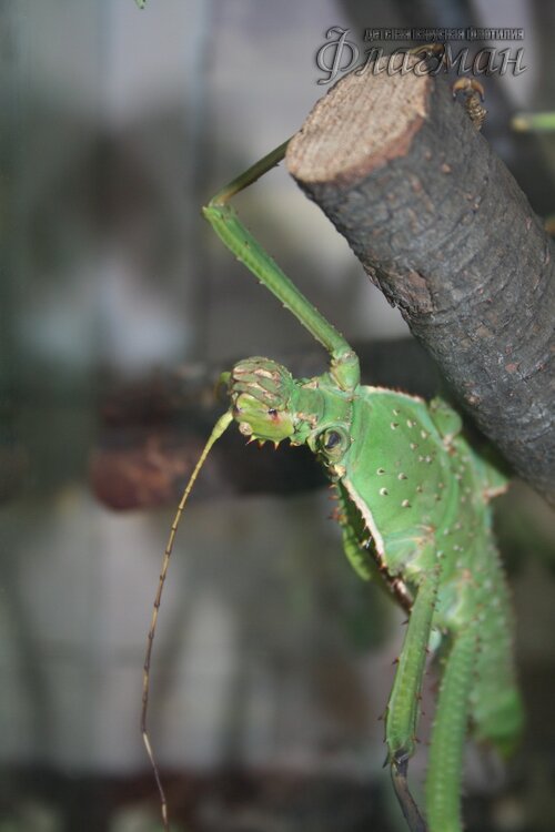 IMG_0676_r